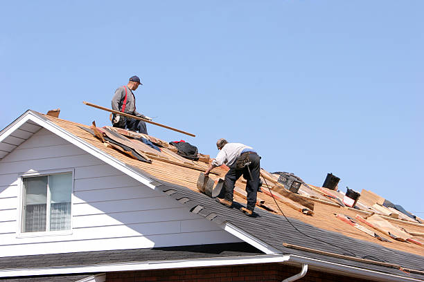 Best Emergency Roof Repair Services  in Shell Ridge, CA